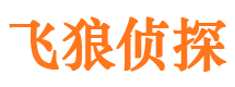 平阴私家侦探